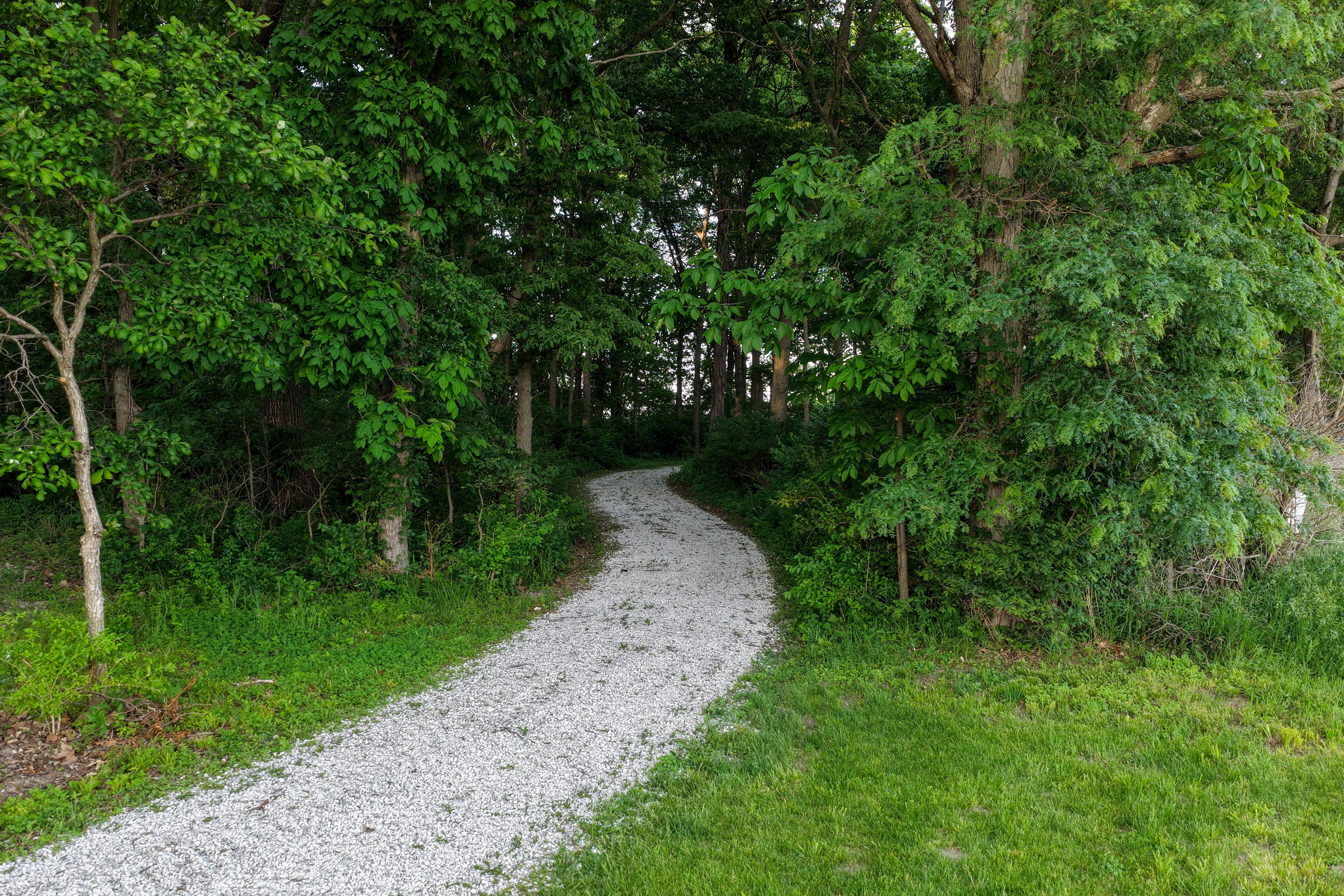 Listing Photo: Washington County Iowa Recreational Land For Sale-43